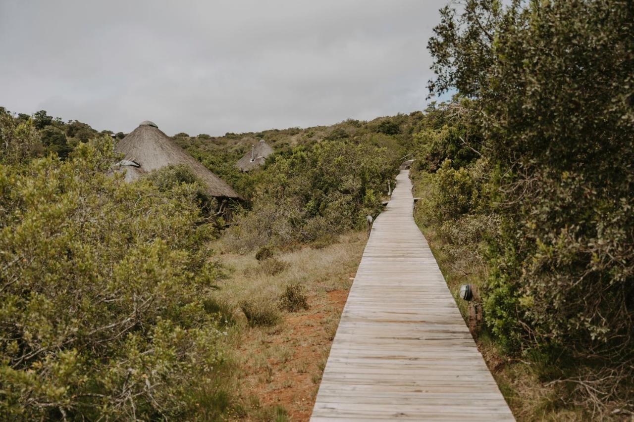 Bukela Game Lodge - Амакала Гейм Ризърв Екстериор снимка