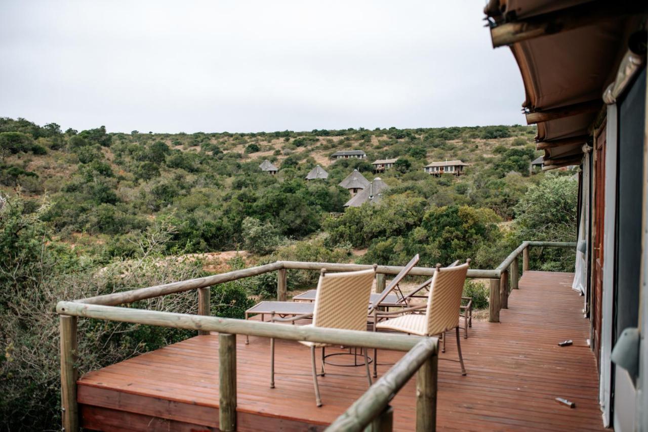 Bukela Game Lodge - Амакала Гейм Ризърв Екстериор снимка