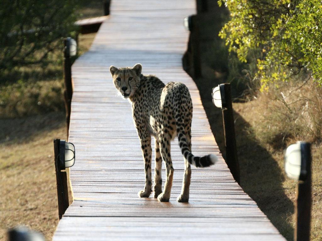 Bukela Game Lodge - Амакала Гейм Ризърв Екстериор снимка